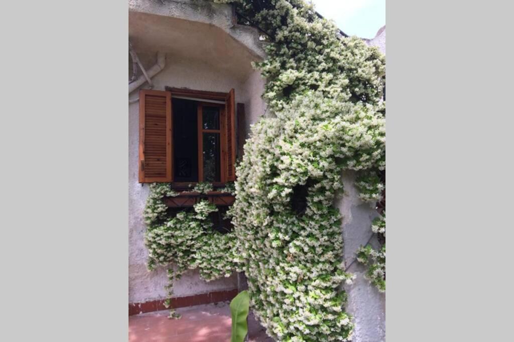 Villa Dei Pioppi Fontane Bianche Exteriér fotografie